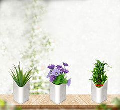3858 Plastic Vertical Hanging Planter Pot, Multicolour, 